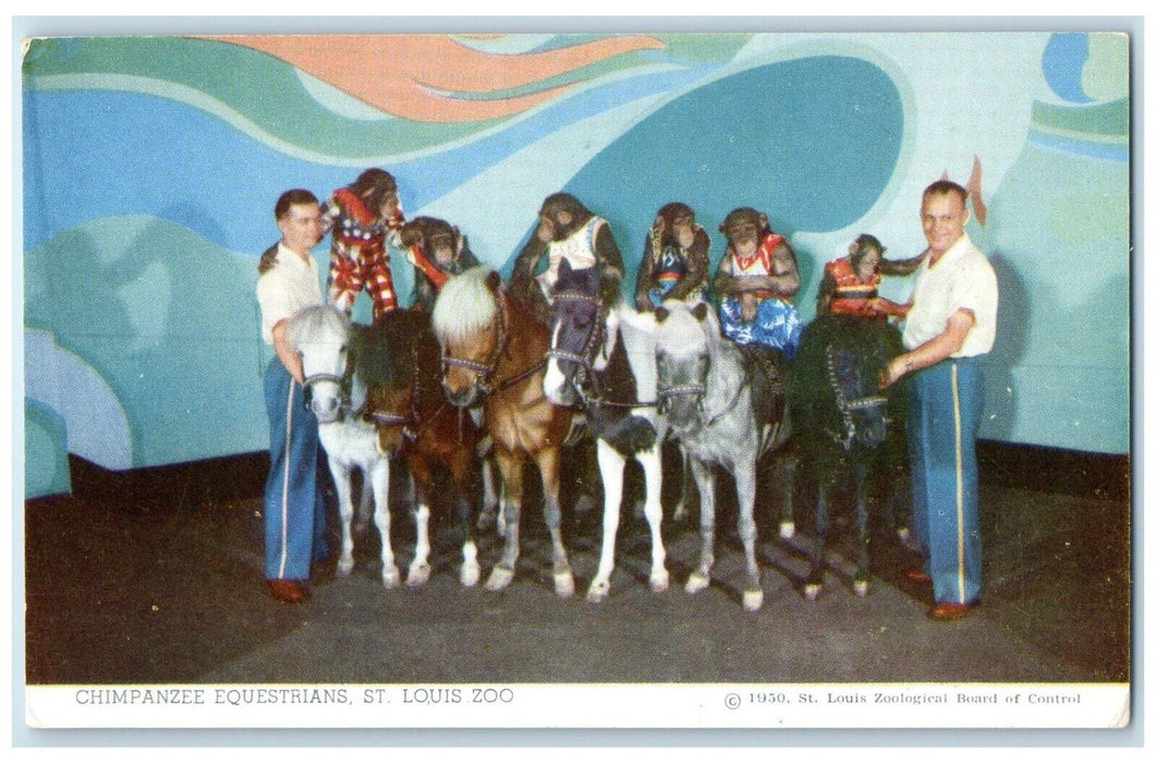 c1960 Chimpanzee Equestrians St Louis Zoo St Louis Missouri MO Vintage Postcard