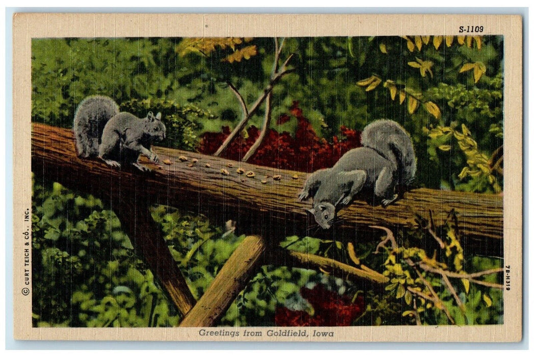 c1930's Greetings From Goldfield Iowa IA, Squirrel On The Tree Vintage Postcard