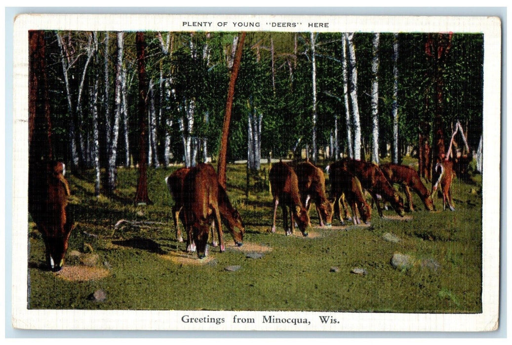 1939 Greetings From Minocqua Wisconsin WI, Young Deers Scene Forest Postcard