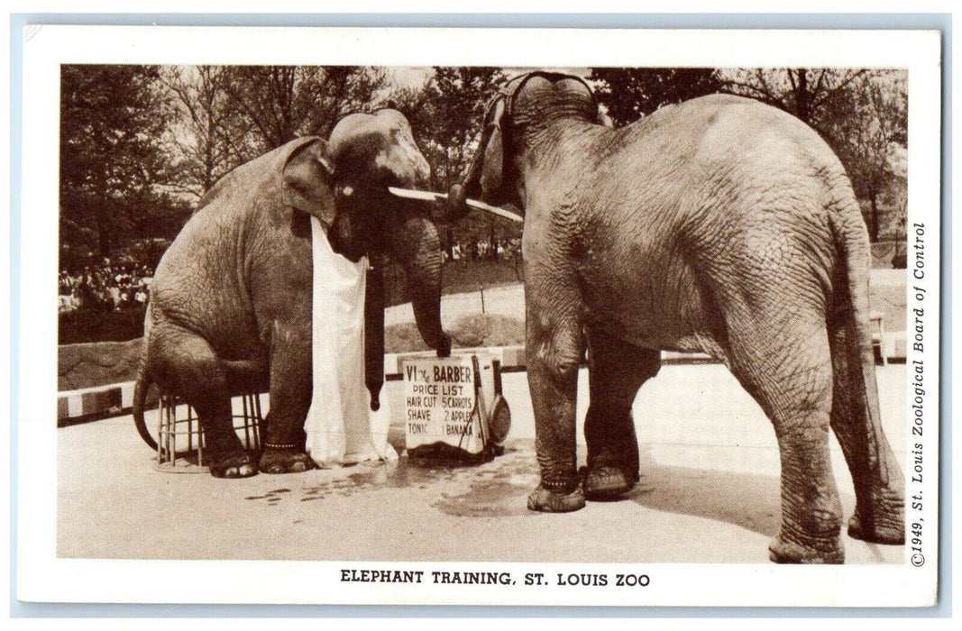 1949 Elephant Training St. Louis Zoological Missouri MO, Vi The Barber Postcard