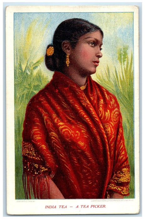 1910 India Tea A Tea Picker Glade Kansas KS, St. Louis MO Antique Postcard