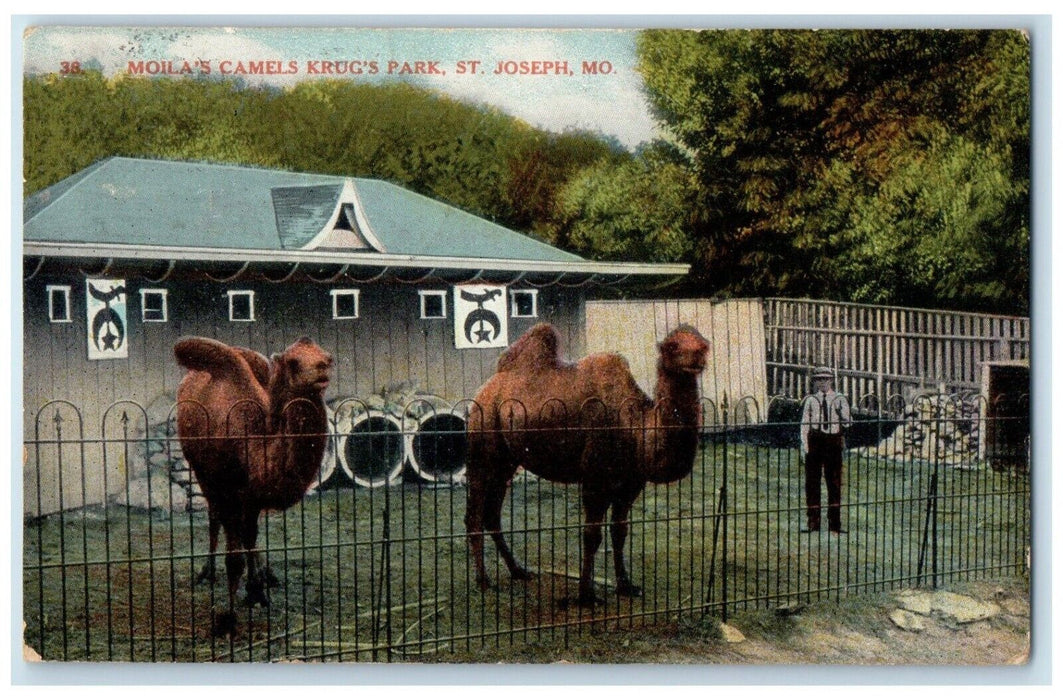 1910 Moila Camels Krugs Park Animals St Joseph Missouri Vintage Posted Postcard