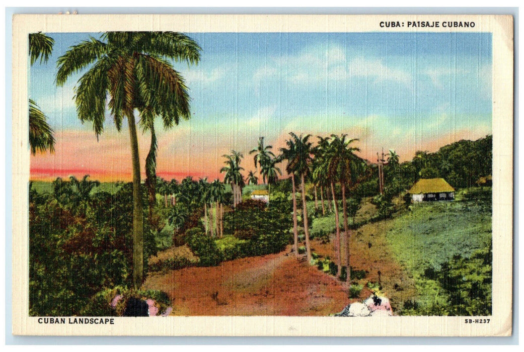 c1940's Trees Houses Nature Scene Cuban Landscape Cuba Vintage Posted Postcard
