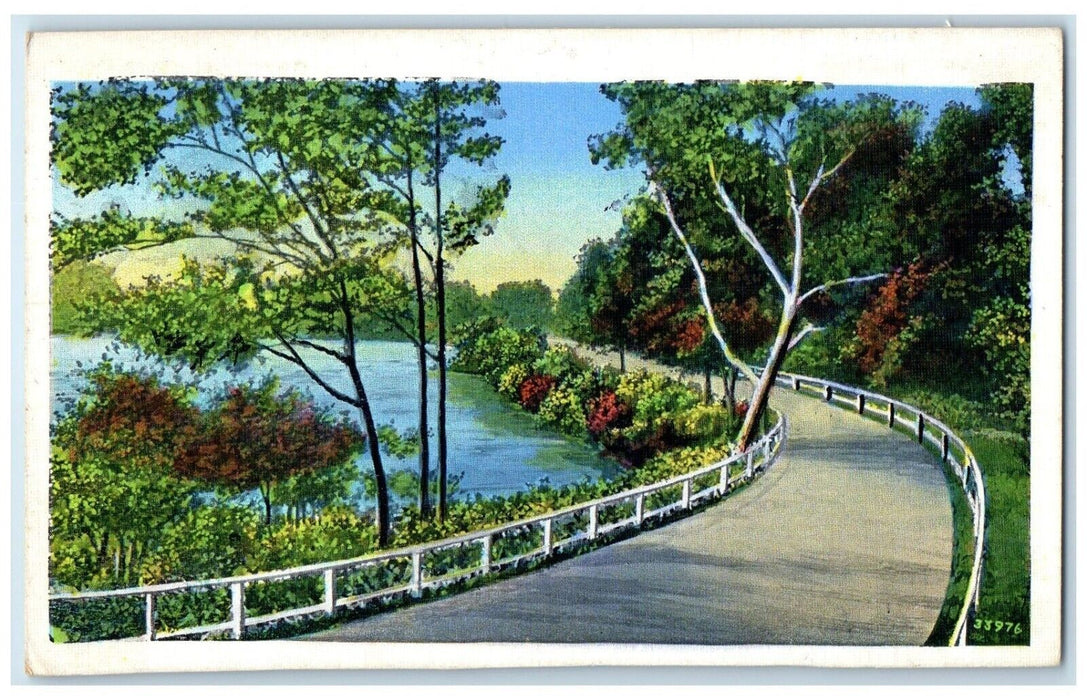 1943 View Of Curve Road Lake View Camden Ohio OH Posted Vintage Postcard