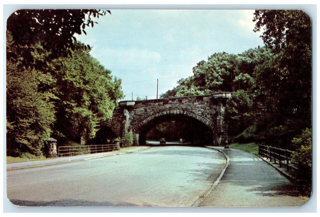 c1950's Rockefeller Park Cleveland Ohio OH, Road Cars Scene Vintage Postcard