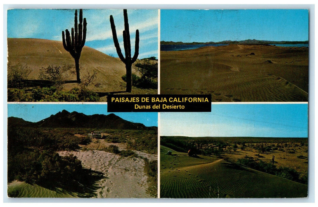 c1910 Sand Dunes at El Mogote and El Tecolote Baja California Mexico Postcard