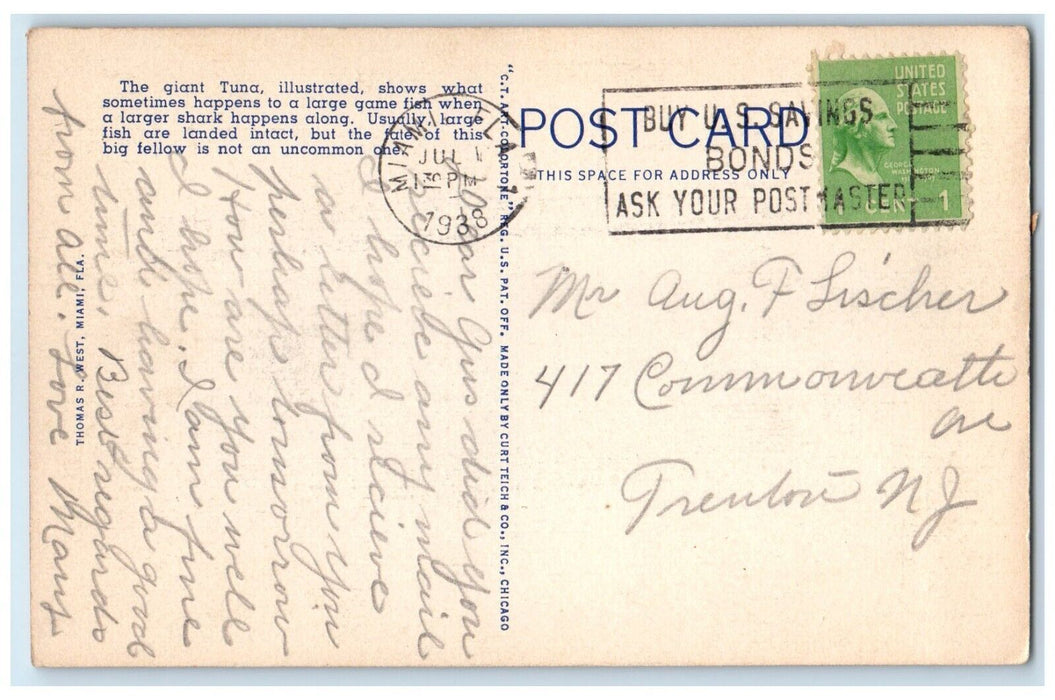 1938 What Shark Left Tuna Portion Remaining Weighs Stream Miami Florida Postcard