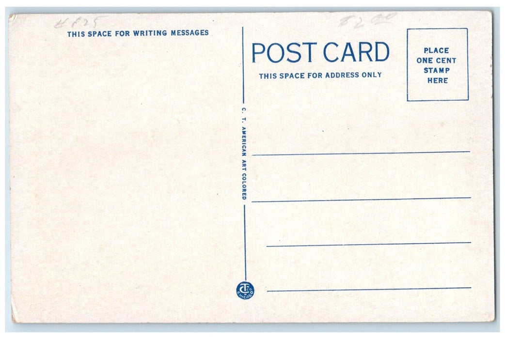 1920 Red Willow County Court House Classic Cars McCook Nebraska Antique Postcard