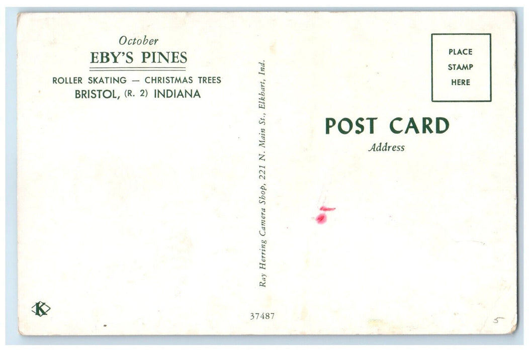 c1950's View Of Eby's Pines Bristol Indiana IN Unposted Vintage Postcard