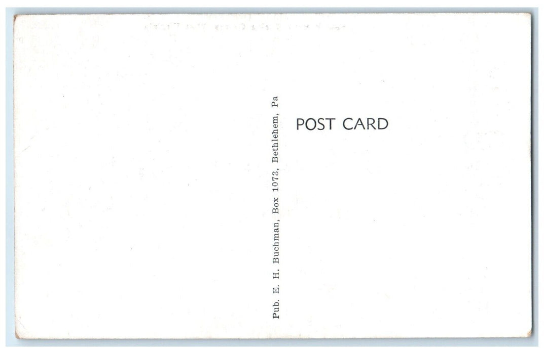 Resting And On Guard Near Parsons Tucker County West Virgina WV, Deer Postcard