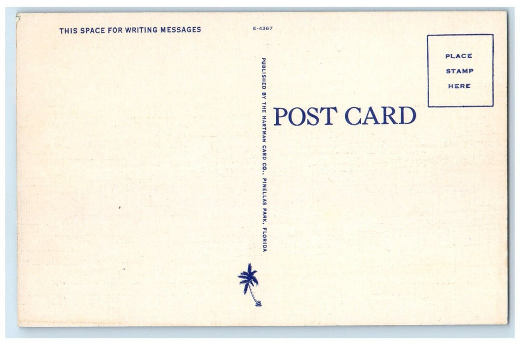 3 Waiting For The Throwing Crossing Spring Bayou Epiphany Day Boating Postcard