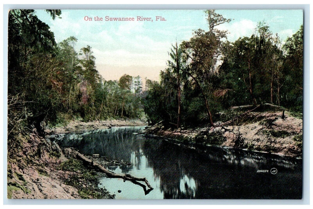 c1910 Beautiful Scene Trees Forest Suwannee River Jacksonville Florida Postcard