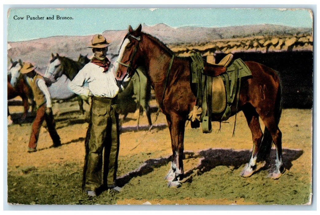 1911 Cow Puncher And Bronco Horse Cowboy Cheyenne Wyoming WY Antique Postcard
