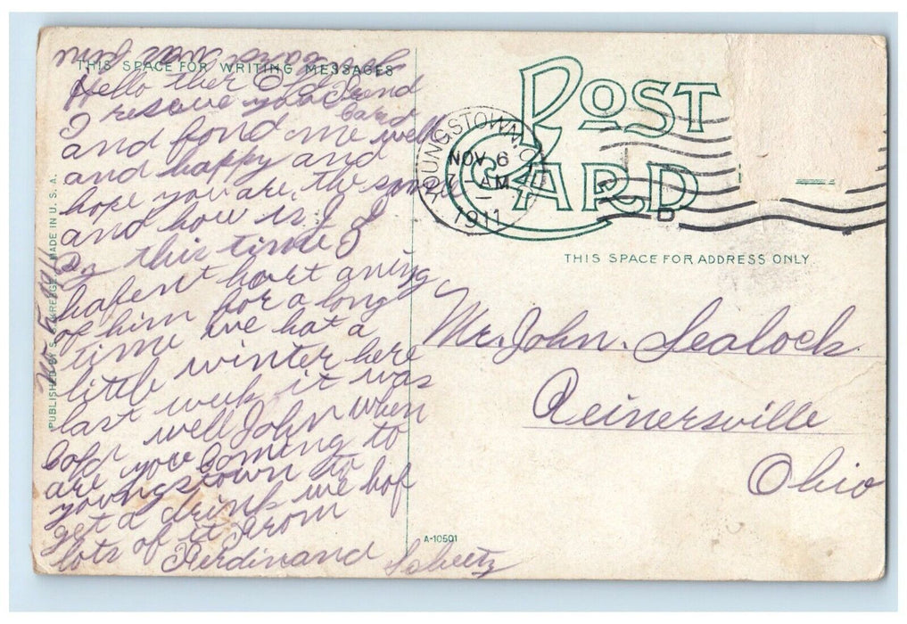 1911 Scenic View Drive Mill Creek Park Youngstown Ohio Antique Vintage Postcard