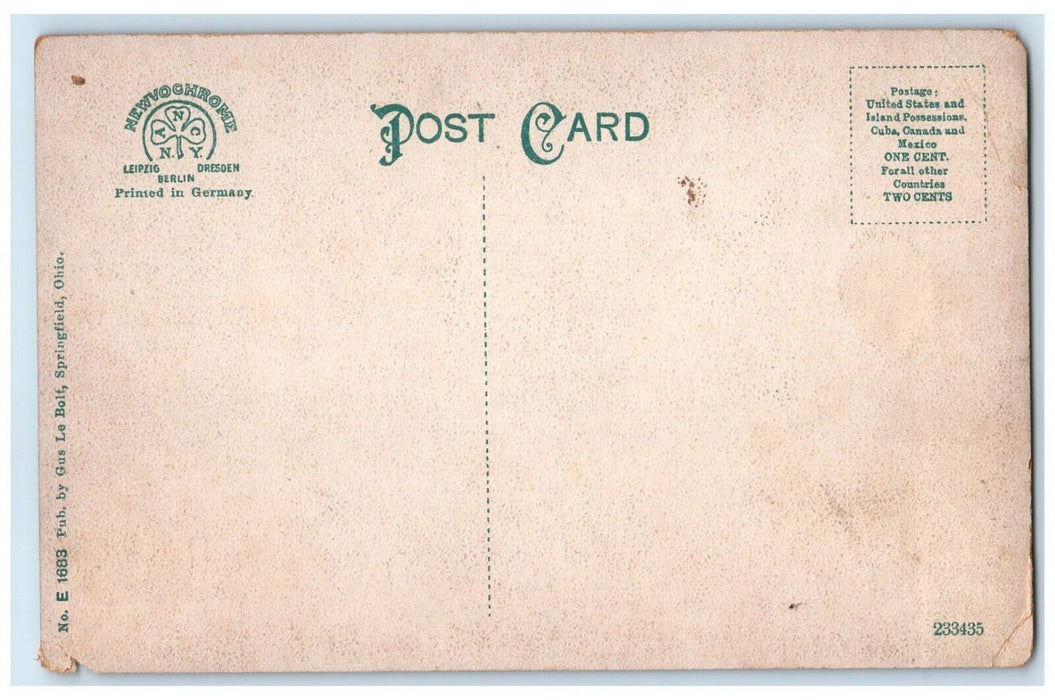 c1910's Knights Of Pythias Home By Night Springfield Ohio OH Antique Postcard