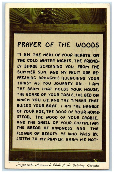 1972 Prayer Of The Woods Highlands Hammock State Park Sebring Florida Postcard
