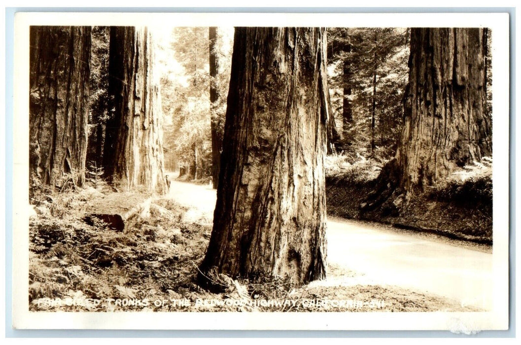 Eddy Redwood Highway Tree Trunks Road Oregon California CA RPPC Photo Postcard