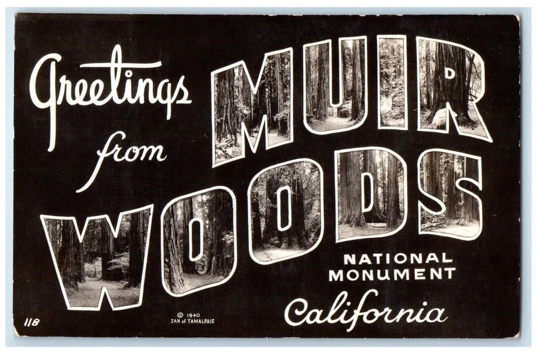 Greetings From Muir Woods California CA National Monument RPPC Photo Postcard