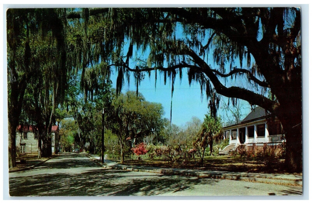 c1960 Ante-Bellurn Progressive Azaleas Flower Walterboro South Carolina Postcard