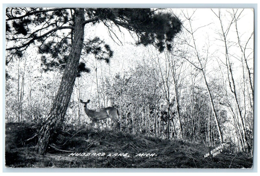 1956 Deer Scene At Hubbard Lake Michigan MI RPPC Photo Posted Vintage Postcard