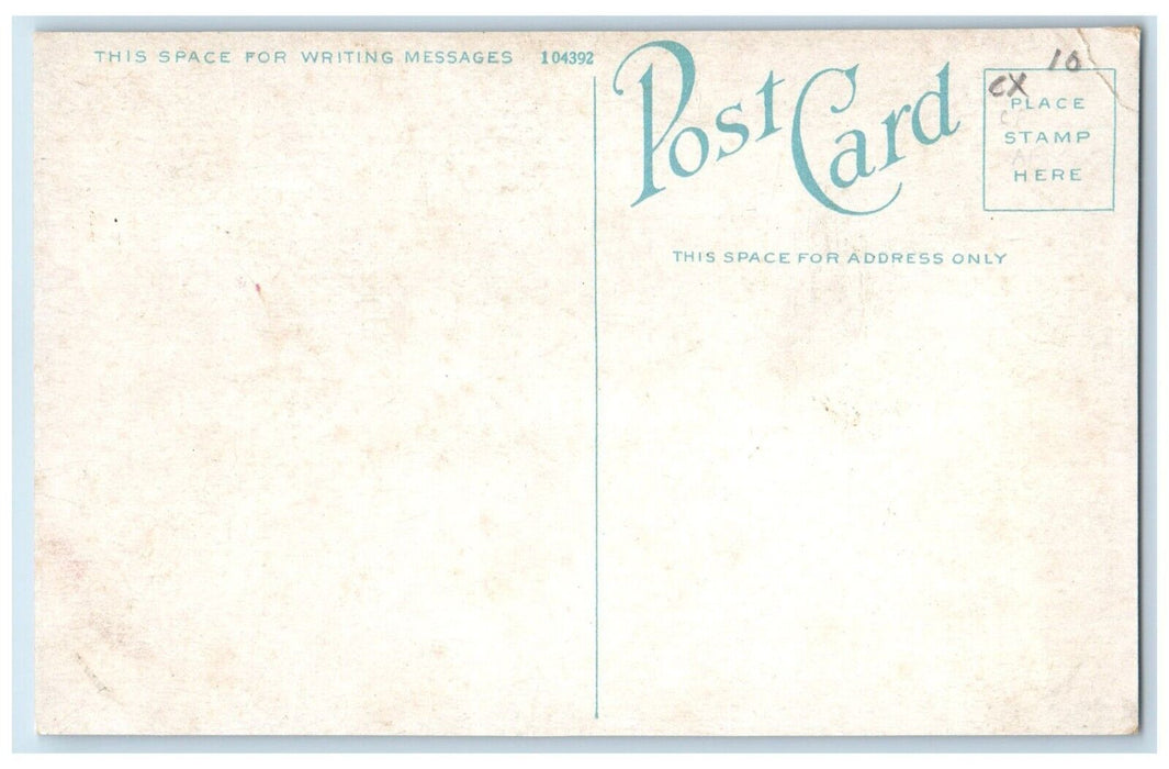 1910 Luna Avenue Classic Cars Surf Avenue Coney Island New York Antique Postcard