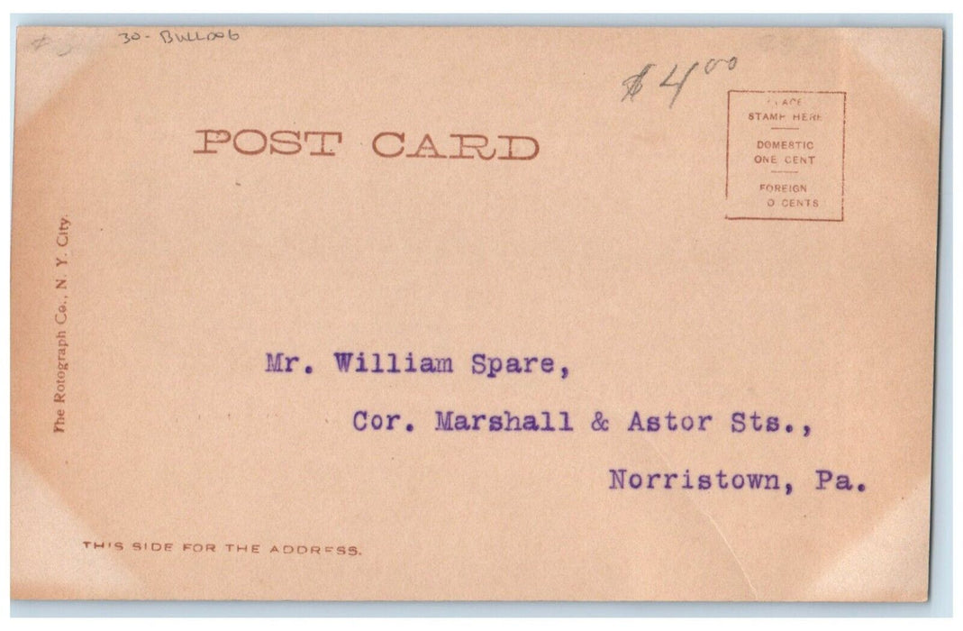 c1905 Bulldog With Glasses Pipe Norristown Pennsylvania PA RPPC Photo Postcard