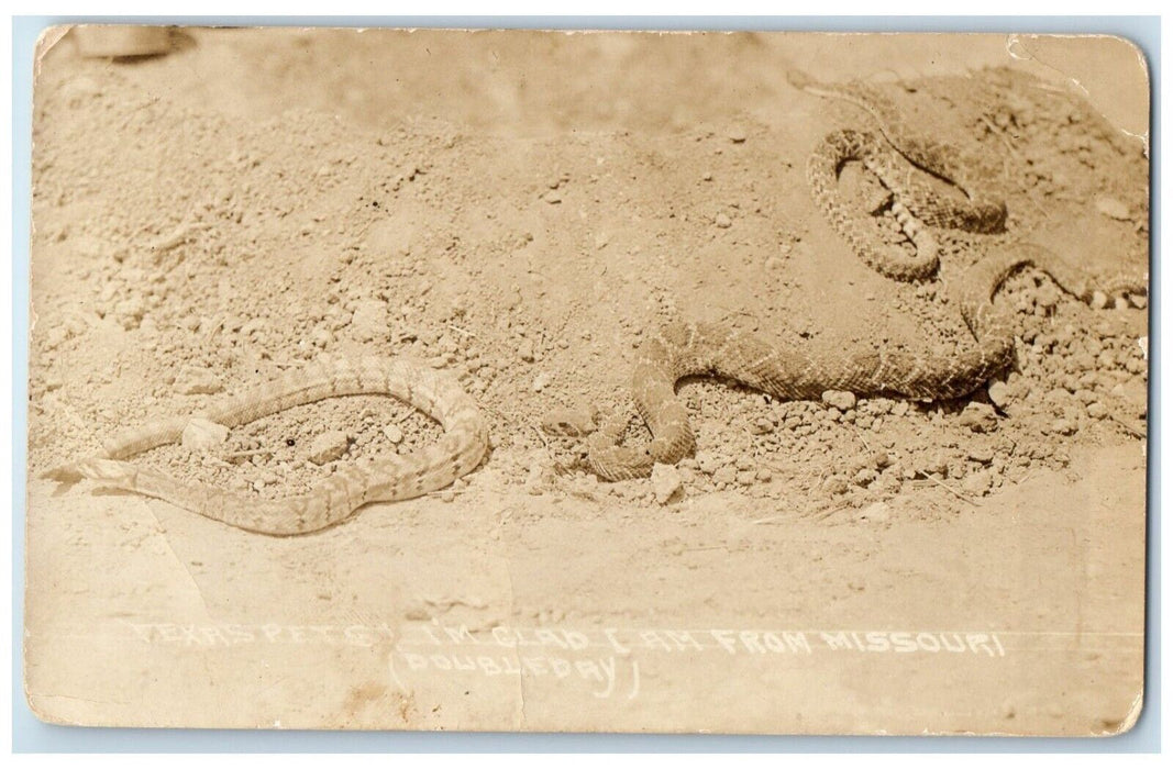 Rattlesnakes Texas I am Glad I'm from Missouri RPPC Photo Vintage Postcard