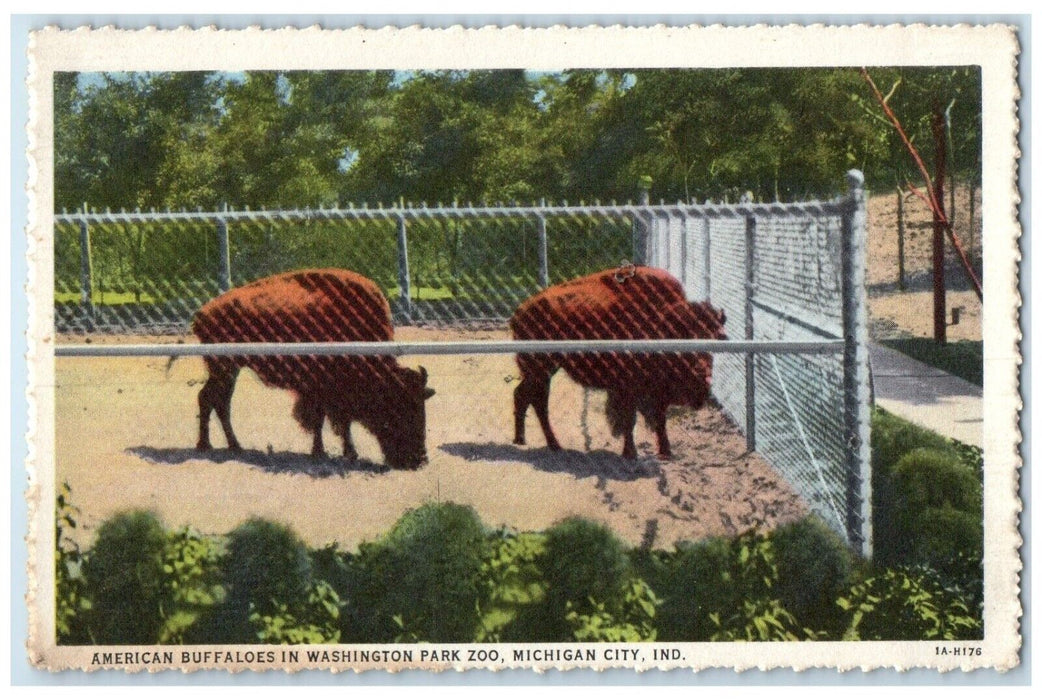 c1930's American Buffaloes In Washington Park Zoo Michigan City IN Postcard