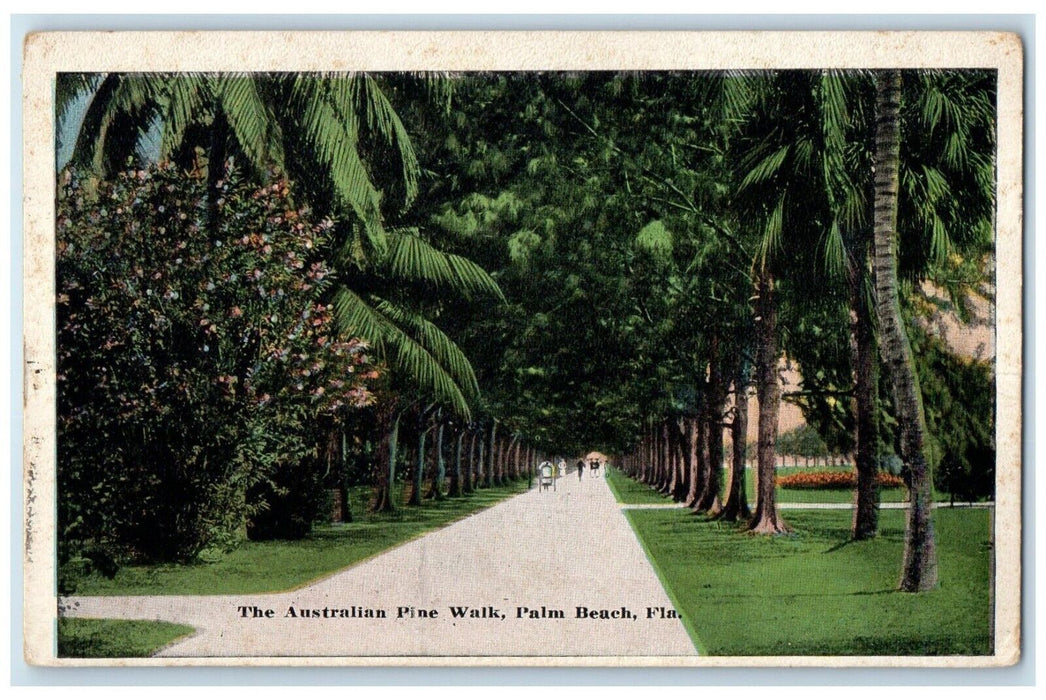 1920 Australian Pine Walk Royal Poinciana Palm Beach Florida FL Vintage Postcard