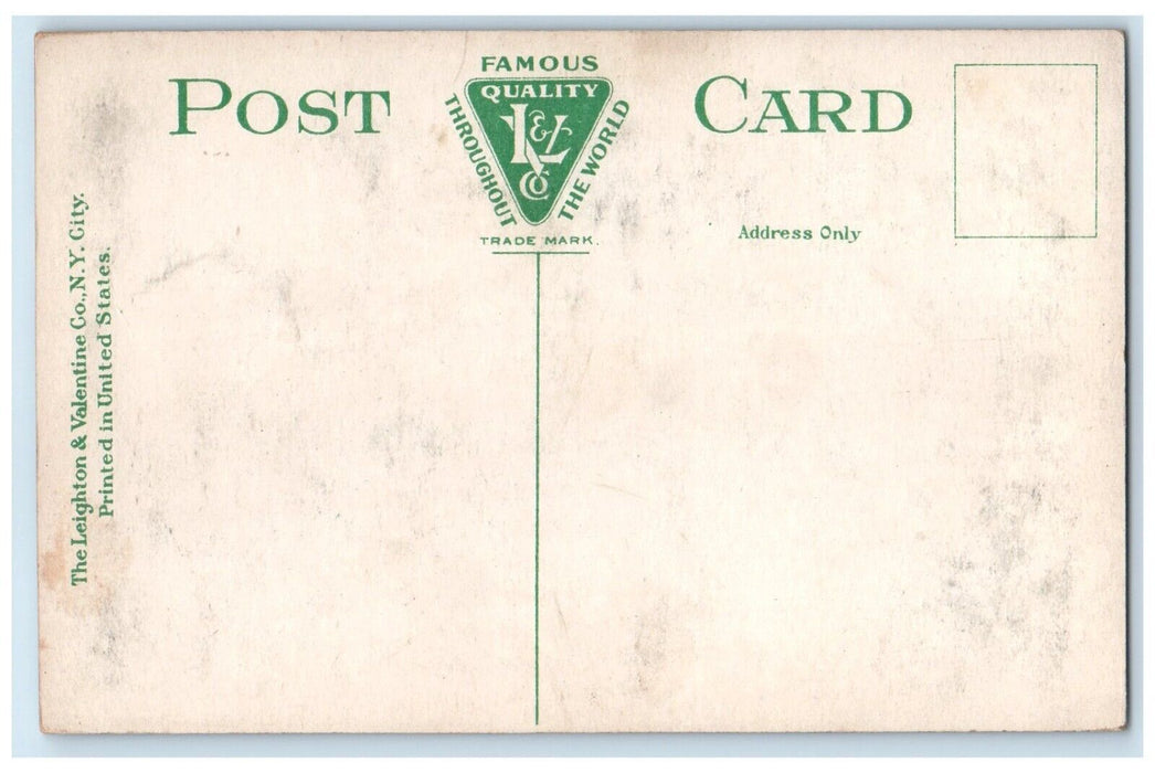 c1910's At The Entrance Laurel Grove Cemetery Port Jervis New York NY Postcard