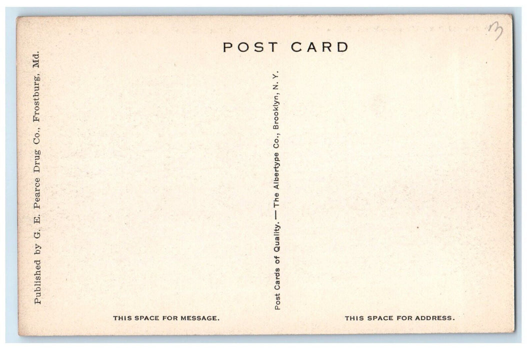 c1940's National Pike Views Great Stone Arch Grantsville Maryland MD Postcard