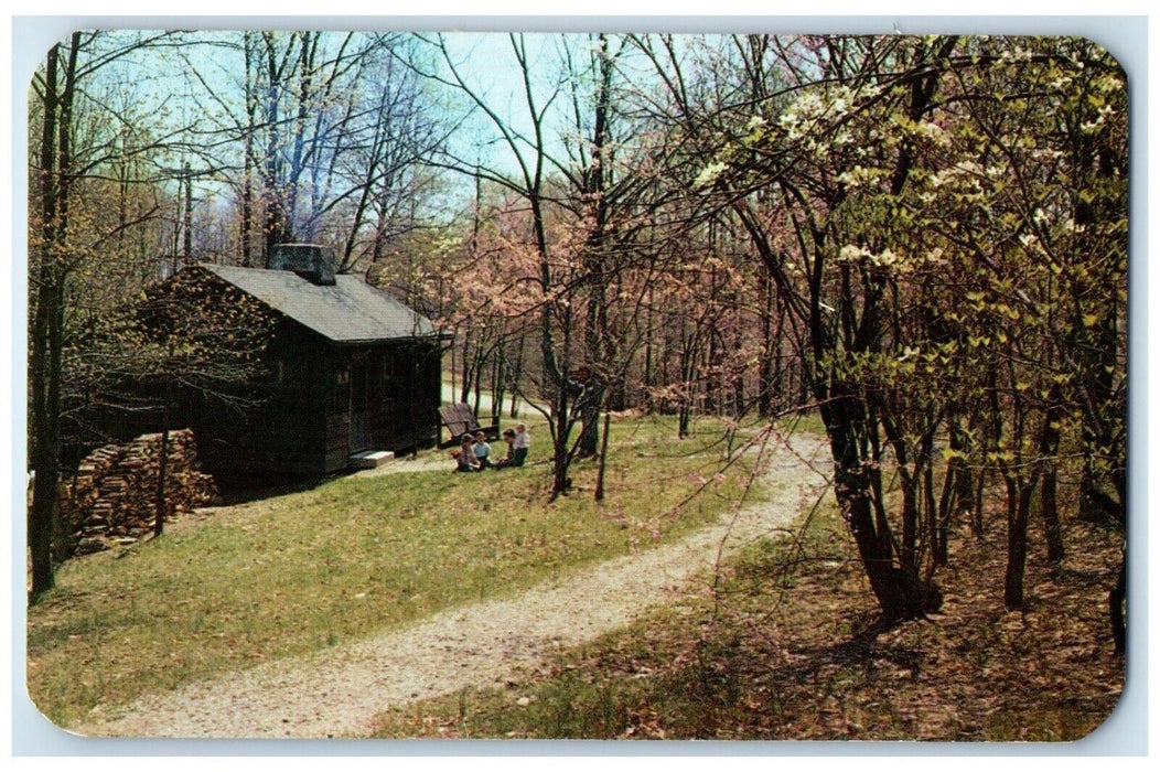 c1950's View Of Lake Hope State Park Cabin Family Scene Zaleski Ohio OH Postcard