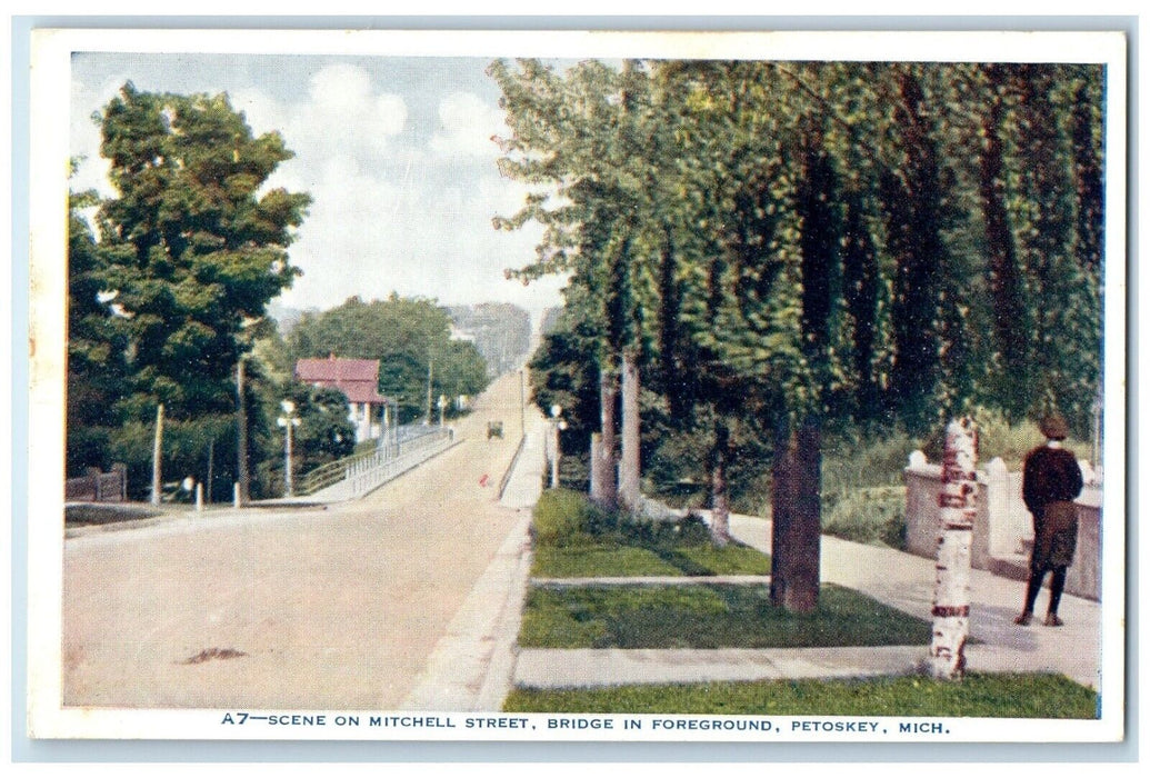 1910 Scene Mitchell Street Petoskey Michigan MI Vo Hammon Publishing CO Postcard
