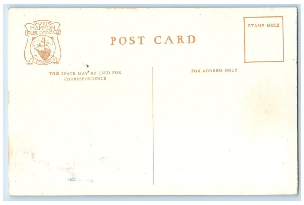 1910 Scene Mitchell Street Petoskey Michigan MI Vo Hammon Publishing CO Postcard