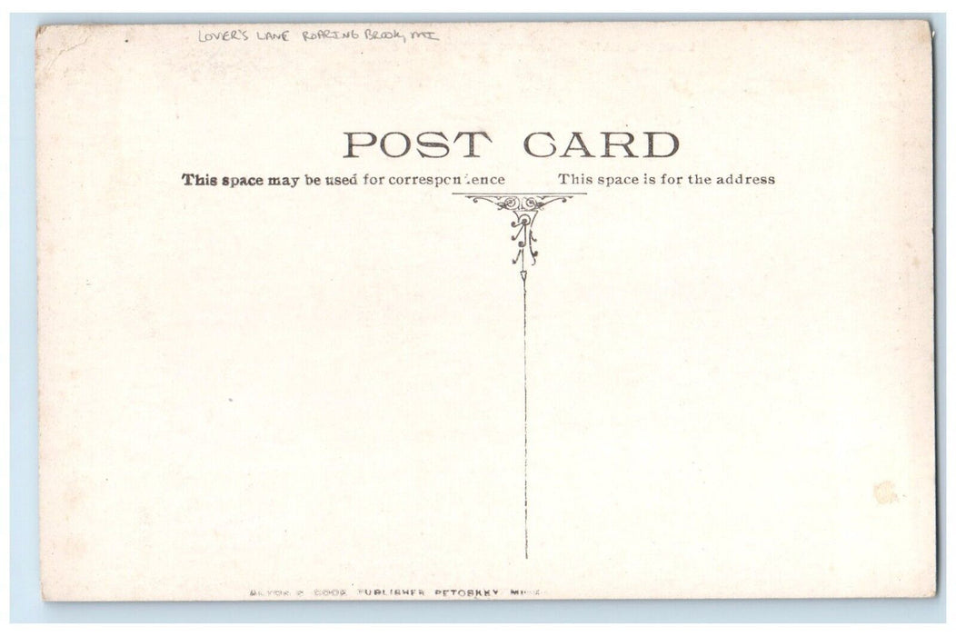 c1910 Scenic View Lovers Lane Roaring Brook Michigan MI Vintage Antique Postcard