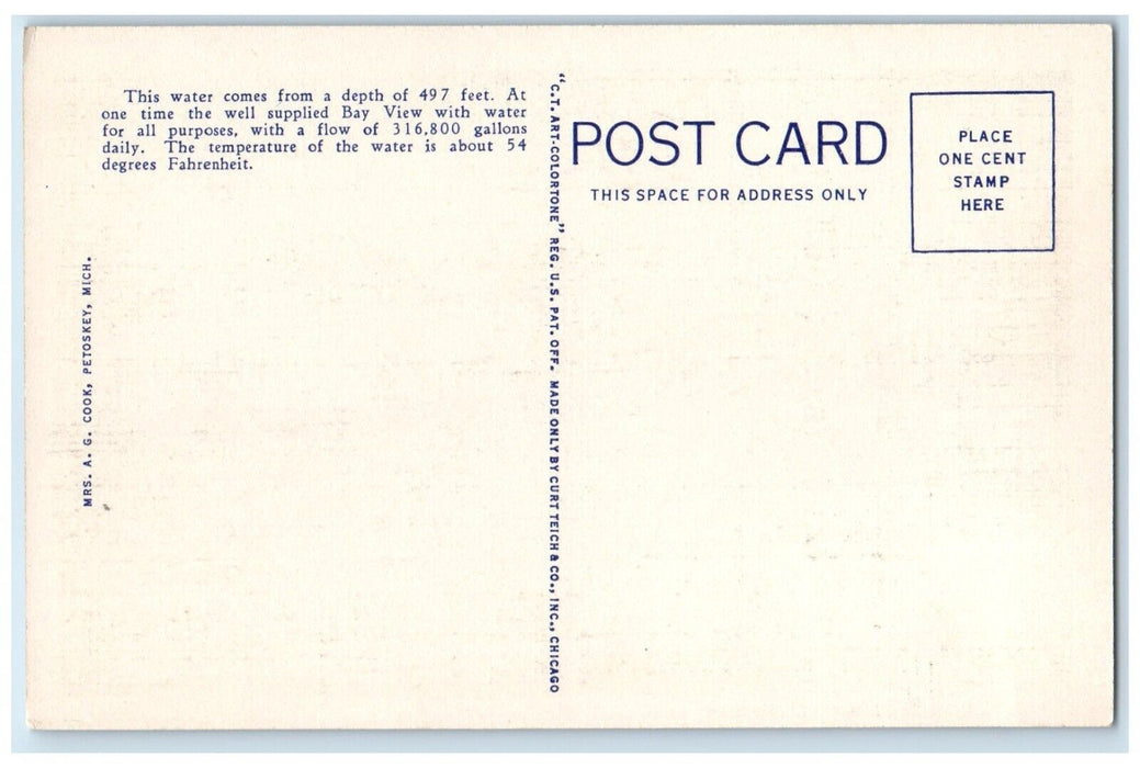 c1940 Scenic View Drinking Fountain Bay View Michigan Antique Vintage Postcard