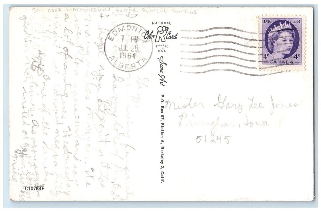 1964 Deer Machineguns Humor Hunting Humans Edmonton Alberta Canada Postcard
