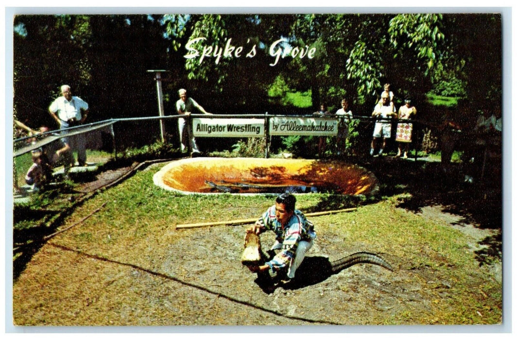 c1950's Spyke's Grove Alligator Wrestling Ft. Lauderdale Florida FL Postcard