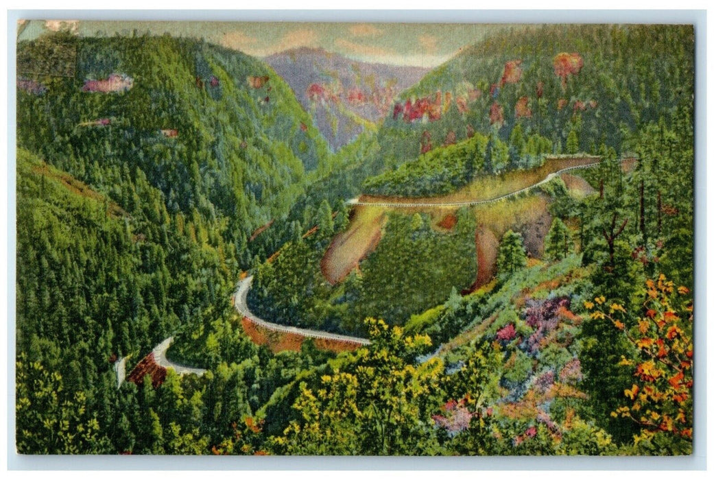 1955 Bird's Eye View Of In Oak Creek Canyon Grand Canyon Arizona AZ Postcard