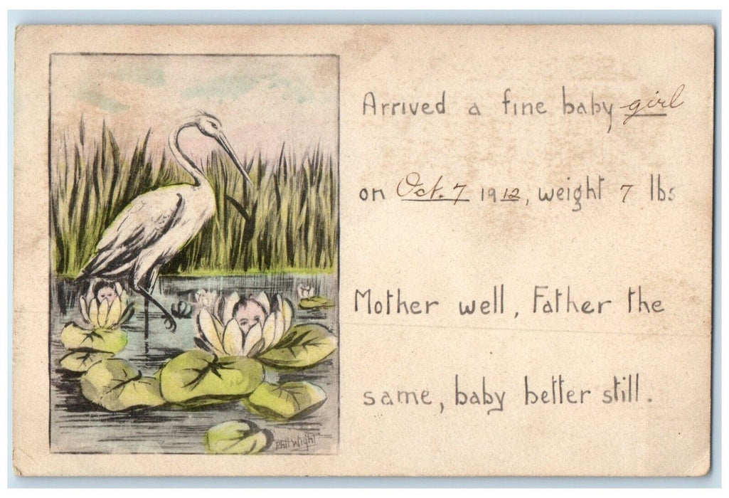 1912 Stork Babies On Lily Pad Flowers Rinesdale Michigan MI Antique Postcard