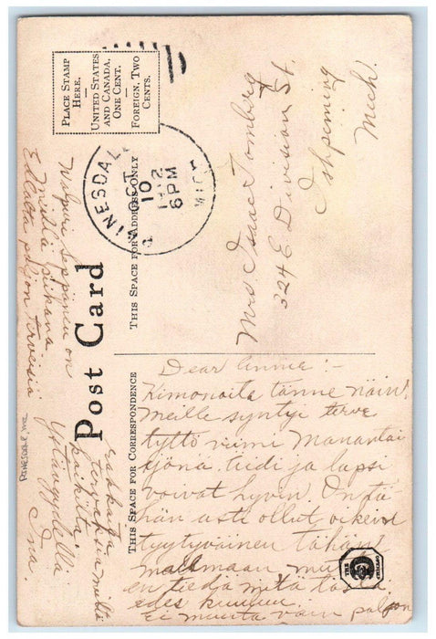 1912 Stork Babies On Lily Pad Flowers Rinesdale Michigan MI Antique Postcard