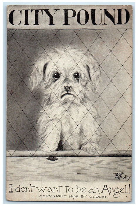 1910 City Pound Cute Dog Monongahela Pennsylvania PA Posted Antique Postcard