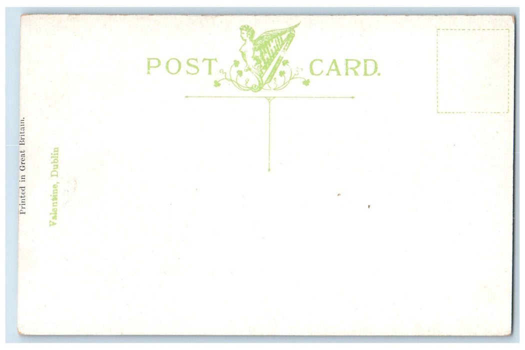 c1910 Lucan from the South Co. Dublin Ireland Antique Unposted Postcard