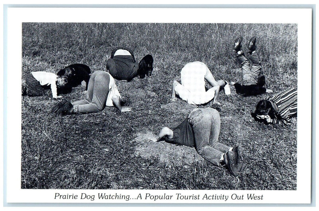 Prairie Dog Watching A Popular Tourist Activity Out West Weird Humor Postcard