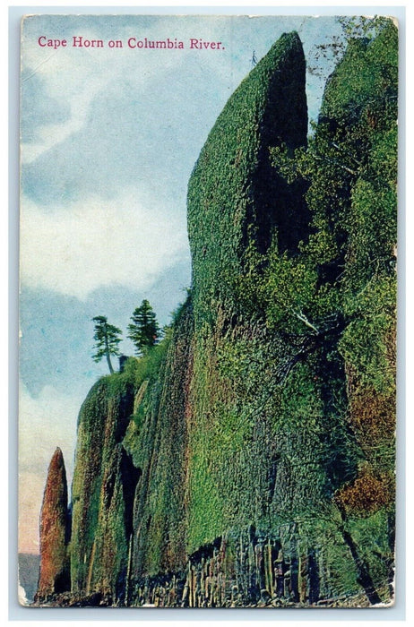 1909 Cape Horn On Columbia River DPO Hayes Washington WA Posted Antique Postcard