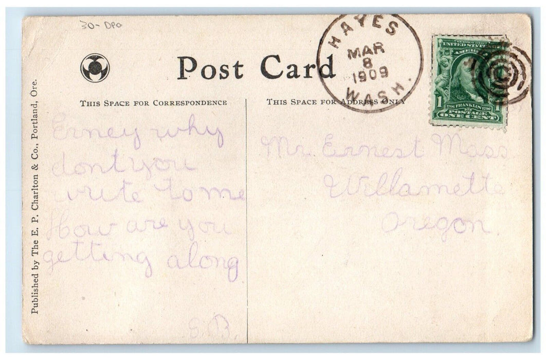 1909 Cape Horn On Columbia River DPO Hayes Washington WA Posted Antique Postcard