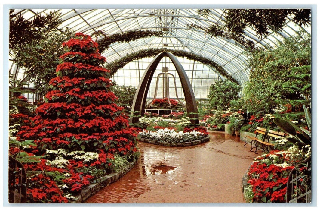 c1960 Christmas Display Krohn Conservatory Poinsettias Cincinnati Ohio Postcard