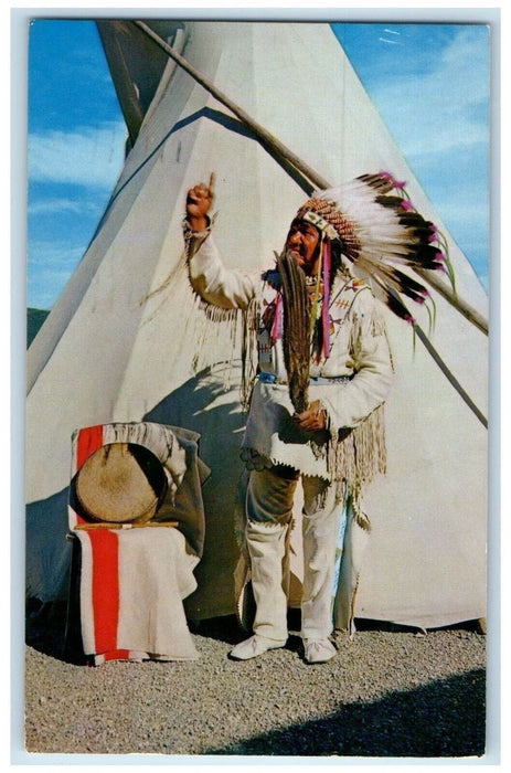 1962 Chief Eagle Ribs St. Mary Lodge Glacier National Park MT Vintage Postcard