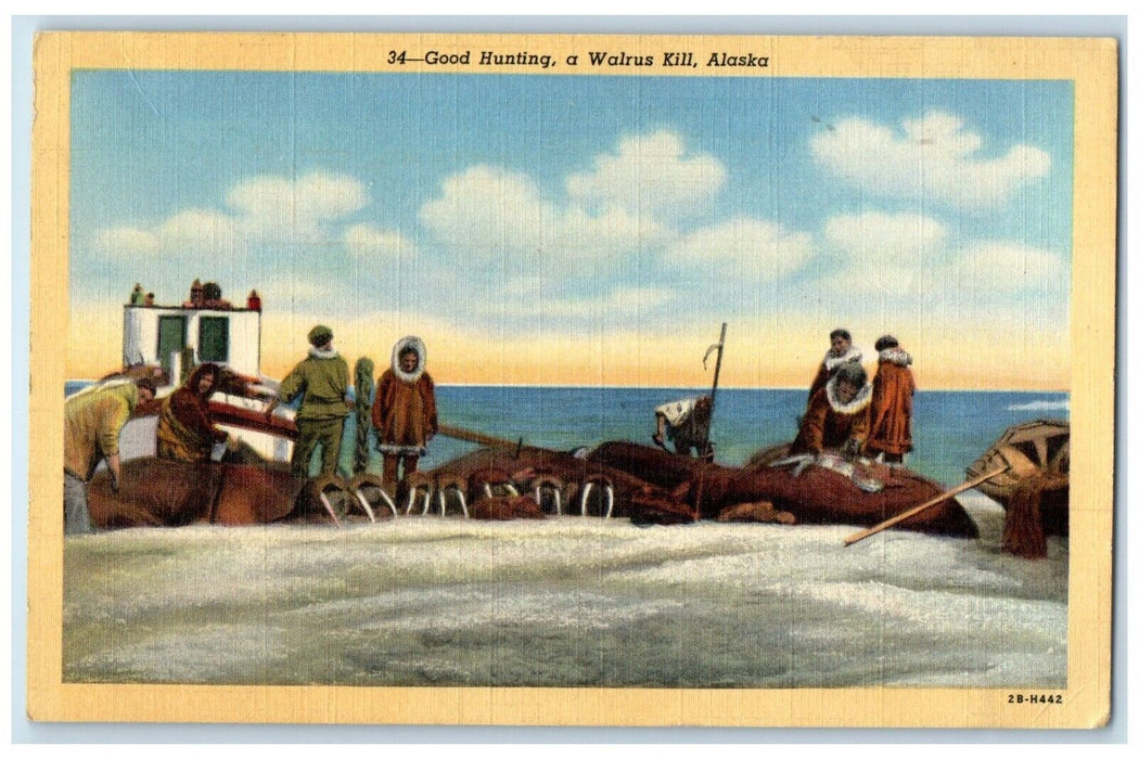 View Of Good Hunting A Walrus Kill Alaska AK, Boat Unposted Vintage Postcard