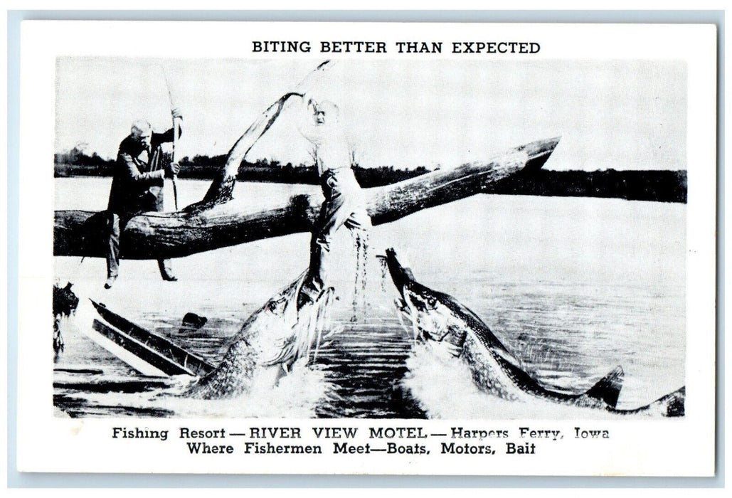 Fishing Resort River View Motel Harpers Ferry Iowa IA, Fish Bite Man Postcard